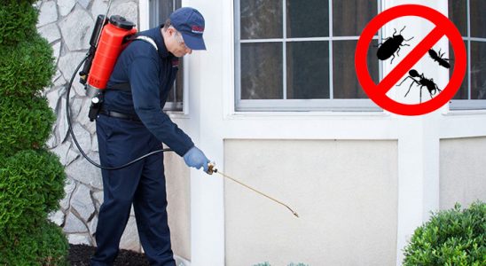 Yayladere Hamam Böceği İlaçlama böcek ilaçlama ve haşere kontrolü — ilaclama-tr.com